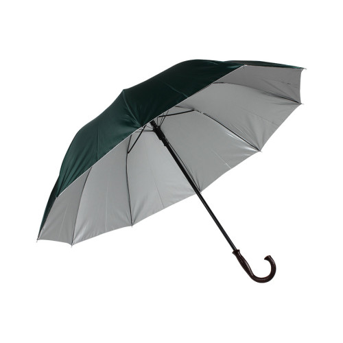 Ομπρέλα βροχής αυτόματη με μπαστούνι και 10 ακτίνες Φ120Χ94 εκ. πράσινο  00701-7
