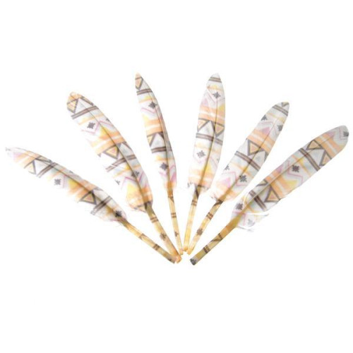 Φτερά χήνας χρωματισμένα με μοτίβα, 15-17 εκ., 6τεμ. σε blister