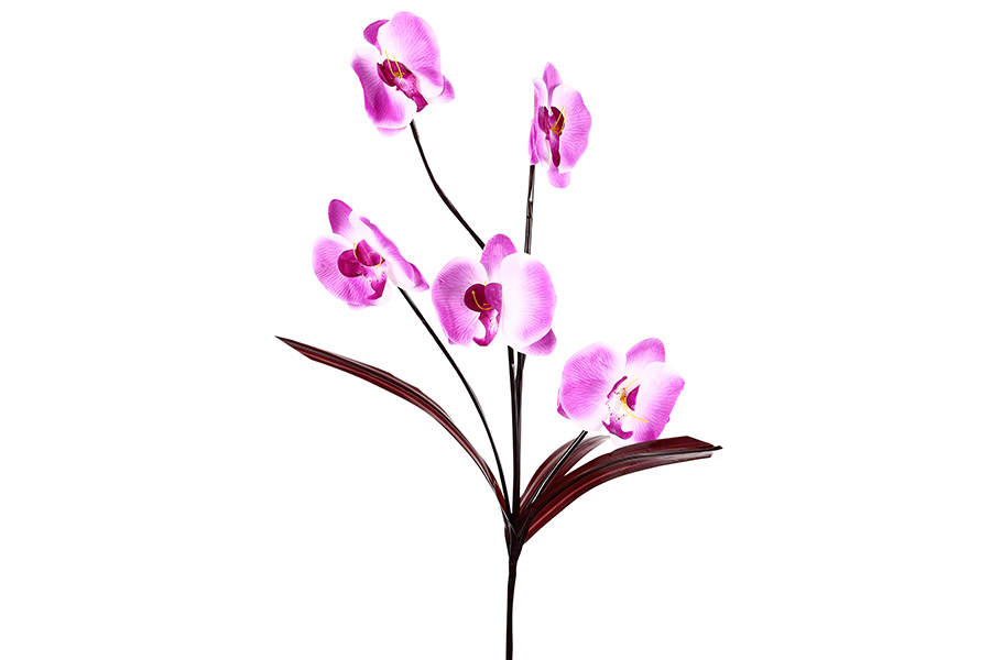 Keskor Διακοσμητικό λουλούδι ορχιδέα με 5 άνθη χρ. φούξια-λευκό 3722-2