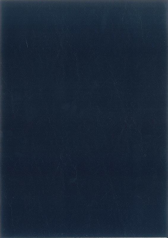 Next Εξώφυλλο βιβλιοδ. 20τεμ. δερματίνη μπλε, 400γρ. 09057-03---3