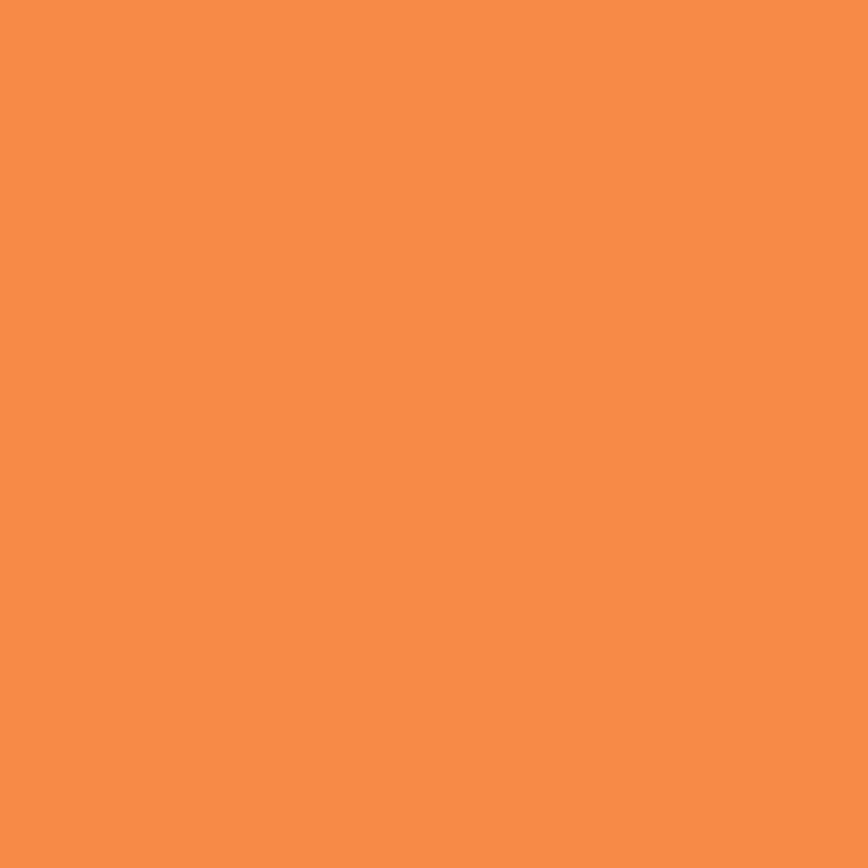 Next Χαρτόνι πορτοκαλί Α3 160γρ. 18234-1398-2